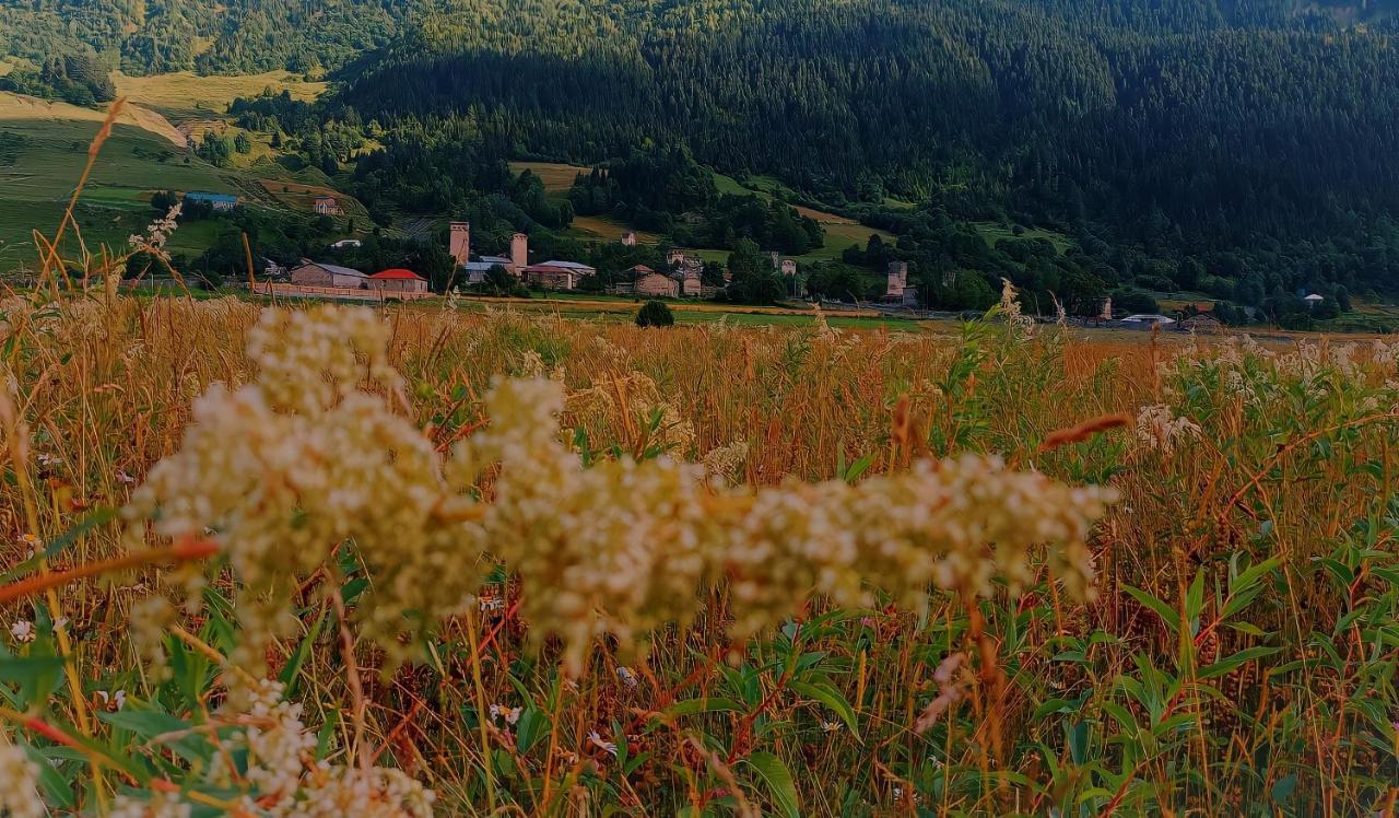 Maizer Qaldani Guesthouse Chvabiani Exteriér fotografie